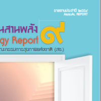 annual report pdf